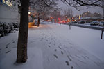 2009-02-03_17-30-14_DSC_5930.jpg