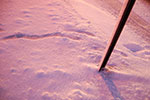 2009-02-03_17-36-55_DSC_5964.jpg