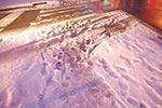 2009-02-03_17-37-01_DSC_5966.jpg