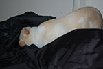 2009-02-06_13-55-21_DSC_6486.jpg