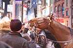 2009-02-07_21-00-16_DSC_6839.jpg