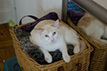 2009-02-08_16-27-14_DSC_6977.jpg