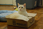 2009-02-10_17-35-08_DSC_7049.jpg