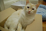 2009-02-10_17-40-21_DSC_7112.jpg