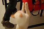 2009-02-12_23-03-07_DSC_7363.jpg