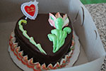 2009-02-15_14-02-55_DSC_7415.jpg
