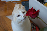 2009-02-15_14-42-25_DSC_7430.jpg