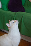2009-02-15_14-44-15_DSC_7464.jpg