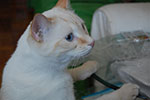 2009-02-15_14-46-14_DSC_7486.jpg