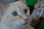 2009-02-15_14-59-33_DSC_7510.jpg