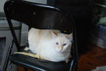 2009-02-18_16-30-52_DSC_7594.jpg