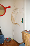 2009-02-19_00-48-22_DSC_7614.jpg