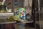 2009-02-22_12-55-59_DSC_7719.jpg