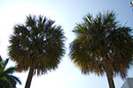 2009-02-22_14-50-25_DSC_7750.jpg