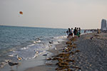 2009-02-22_17-24-33_DSC_7814.jpg