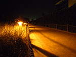 2009-02-22_22-14-52_IMGP3423.jpg