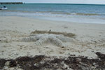 2009-02-25_13-39-48_DSC_8171.jpg