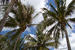 2009-02-25_13-45-43_DSC_8173.jpg