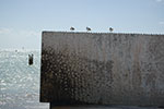 2009-02-25_14-25-30_DSC_8200.jpg
