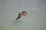2009-02-25_14-29-26_DSC_8209.jpg