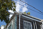 2009-02-25_14-53-36_DSC_8233.jpg