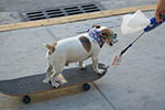 2009-02-25_16-05-16_DSC_8257.jpg