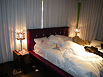 2009-02-26_11-46-44_IMGP3706.jpg