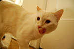2009-03-01_05-10-16_DSC_8321.jpg