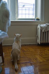 2009-03-03_13-10-47_DSC_8426.jpg