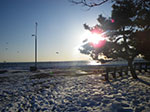 2009-03-04_16-51-51_IMGP3866.jpg