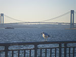 2009-03-04_16-53-00_IMGP3869.jpg
