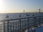 2009-03-04_16-55-34_IMGP3875.jpg