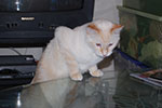 2009-03-04_20-28-18_DSC_8496.jpg