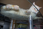 2009-03-04_20-29-49_DSC_8508.jpg