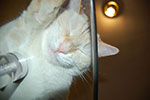 2009-03-04_20-30-40_DSC_8514.jpg