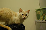 2009-03-04_20-41-37_DSC_8561.jpg
