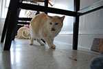 2009-03-05_16-06-42_DSC_8572.jpg