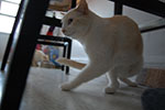 2009-03-05_16-07-00_DSC_8577.jpg