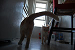 2009-03-05_16-07-19_DSC_8589.jpg