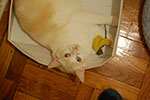 2009-03-05_22-47-14_DSC_8604.jpg