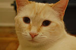 2009-03-05_22-48-39_DSC_8614.jpg