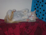 2009-03-09_13-26-26_IMGP4150.jpg