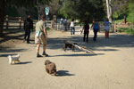 2009-03-12_16-29-43_DSC_8723.jpg