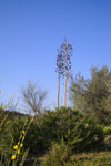 2009-03-12_17-15-44_DSC_8777.jpg