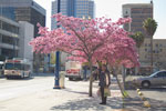 2009-03-13_15-48-43_DSC_8813.jpg