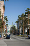 2009-03-13_15-52-43_DSC_8814.jpg
