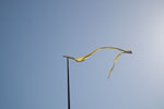 2009-03-13_15-54-39_DSC_8822.jpg