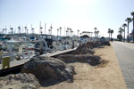 2009-03-13_16-13-04_DSC_8835.jpg