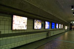 2009-03-13_19-54-00_DSC_8902.jpg