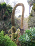 2009-03-14_15-11-16_IMGP4376.jpg